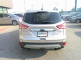Used 2016 Ford Escape Titanium w/ Equipment Group 301A image 2