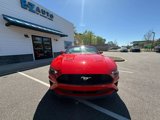 Used 2018 Ford Mustang Premium image 3