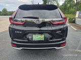 Used 2020 Honda CR-V EX-L image 5