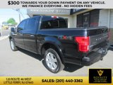 Used 2020 Ford F150 Platinum image 3