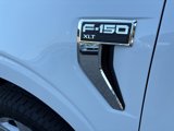 New 2025 Ford F150 XLT image 3