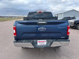 Used 2020 Ford F150 XLT w/ Equipment Group 302A Luxury image 4