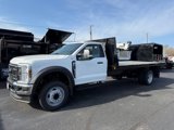 New 2025 Ford F550 2WD Regular Cab Super Duty w/ XL Chrome Package image 4