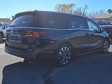 New 2025 Honda Odyssey Elite image 3