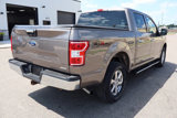 Used 2019 Ford F150 XLT w/ Equipment Group 302A Luxury image 3