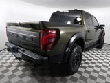 Used 2025 Ford F150 Raptor w/ Equipment Group 803A Raptor R image 5