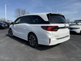 New 2025 Honda Odyssey Elite image 6