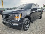 Used 2023 Ford F150 XLT w/ Equipment Group 302A High image 3