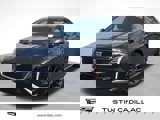 View Video
