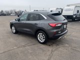 Used 2020 Ford Escape SE image 3