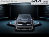 New 2025 Kia Telluride EX image 2