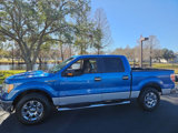 Used 2010 Ford F150 XLT image 2