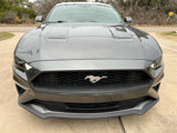 Used 2019 Ford Mustang Coupe image 3