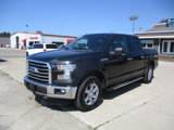 Used 2015 Ford F150 XLT w/ Equipment Group 302A Luxury image 2