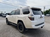 Used 2022 Toyota 4Runner SR5 Premium image 4