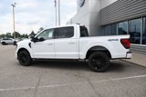New 2025 Ford F150 XLT w/ Equipment Group 303A High image 3