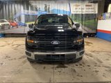 Used 2024 Ford F150 XLT w/ Mobile Office Package image 2