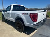 Used 2022 Ford F150 XLT w/ Equipment Group 301A Mid image 5