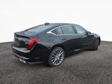 New 2026 Cadillac CT5 Premium Luxury w/ Technology Package image 3