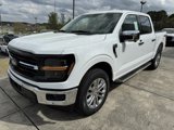 New 2025 Ford F150 XLT w/ Equipment Group 302A MID image 3