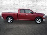Used 2010 Dodge Ram 1500 Truck SLT w/ Big Horn Regional Pkg image 2