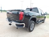 New 2025 GMC Sierra 2500 SLT w/ Texas SLT Premium Package image 2