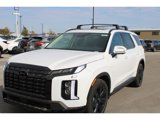 New 2025 Hyundai Palisade XRT image 6