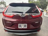 Used 2019 Honda CR-V EX-L image 6