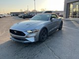 Certified 2022 Ford Mustang Premium image 3