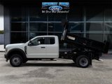 New 2025 Ford F450 XL image 2