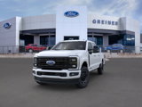 New 2025 Ford F250 Platinum image 2