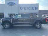 New 2025 Ford F250 Platinum image 2