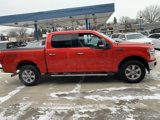 Used 2019 Ford F150 XLT w/ Equipment Group 302A Luxury image 5
