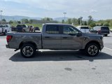 New 2025 Ford F150 STX w/ Equipment Group 200A image 5