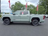 New 2025 Toyota Tundra Platinum image 3