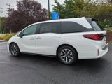 New 2026 Honda Odyssey EX-L image 6