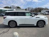 New 2025 INFINITI QX80 Sensory image 2