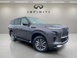 New 2025 INFINITI QX80 Pure w/ Cargo Package image 2