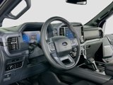 New 2025 Ford F150 XLT w/ Equipment Group 303A High image 3