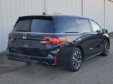 New 2025 Honda Odyssey Elite image 3
