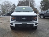 New 2025 Ford F150 STX w/ Equipment Group 200A image 2