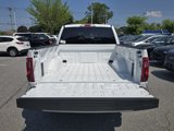 New 2025 Ford F150 STX w/ Equipment Group 200A image 5