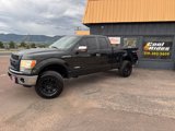 Used 2013 Ford F150 XLT w/ XLT Chrome Pkg image 2