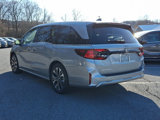 New 2025 Honda Odyssey Elite image 4