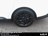 New 2026 Kia Carnival SX w/ SX Dark Edition Package image 4