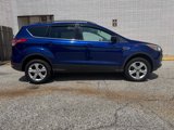 Used 2016 Ford Escape SE w/ Equipment Group 201A image 2
