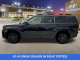 New 2025 Hyundai Santa Fe Calligraphy image 4