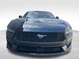 Used 2024 Ford Mustang Premium image 2