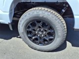 New 2025 Ford F150 XLT image 5