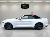 Used 2019 Ford Mustang Premium image 5